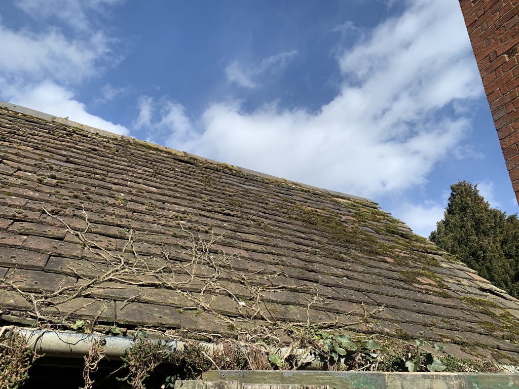 Removing moss from rooftop tiles and slates